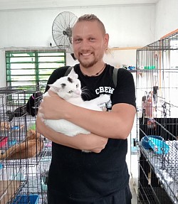 Most shelters across the country are full of cats of all ages looking for new homes, some of which are purebred.