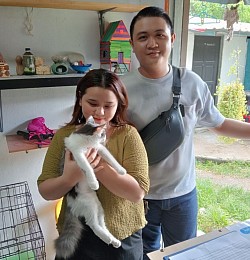 If many people only want to adopt kittens, what about the fate of adult cats? Aren't they capable of getting the love they deserve from you! They also need love and a place to be pampered from you.