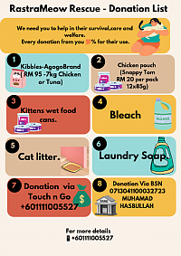 Kindly donate items to the cats. Cat food,cat litter, cleaning supply and other.