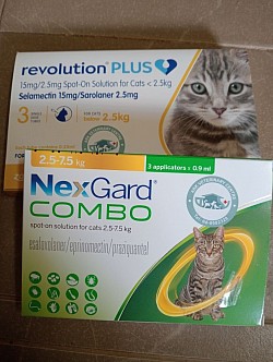 Flea & Deworming Treatment
