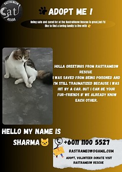 Sharma