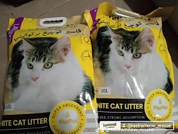 Cat litter
