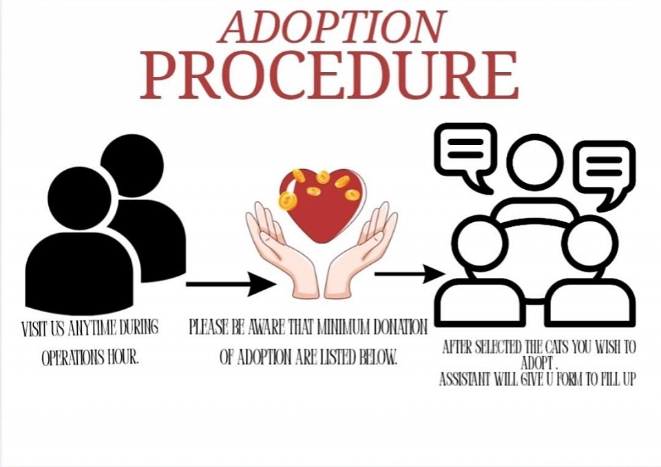 Adoption