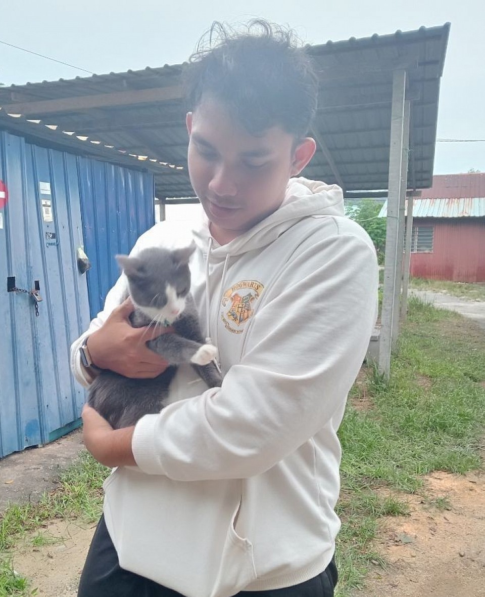 Adoption