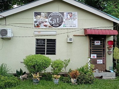 Rastra Meow Rescue