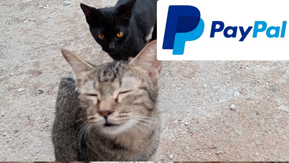 PayPal