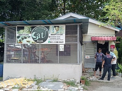 This spacious and large cage was donated by a generous person for the comfort of the rescued cats. In this cage there are male cats that have been neutered and also several female cats that have also been neutered. Meanwhile, healthy female cats and healthy kittens are also placed in this cage. Visitors are welcome to cuddle and play with them here.